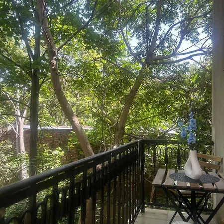 Pirotska Modern דירה *