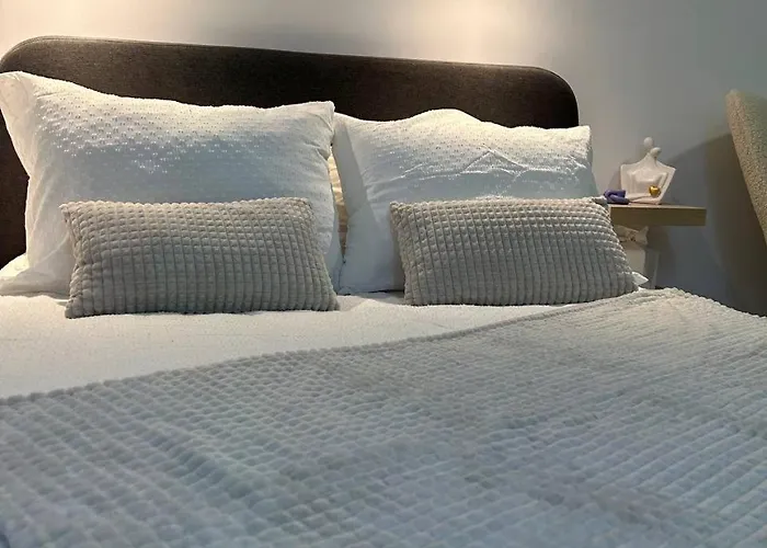 公寓 Pirotska Modern