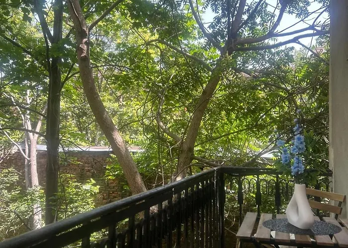 Pirotska Modern 公寓 *